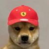 mcchop