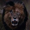 zeeshanhaider0307