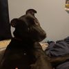 mattxriley