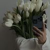 hasah_92