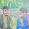 hamidsadat125