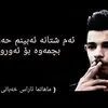 slaw533