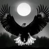 mohameed_alfgi