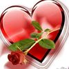 user8700779404158