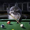 cannonmanbob