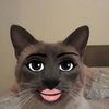 riley_232323