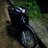 nguyennhatle3127