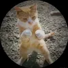doong_2004