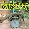 chatinfinityredle
