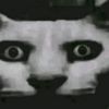 felix.christiawan