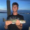 landen_2411