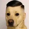superdobro0