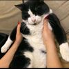 aynur_vva