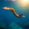 HaleyMermaid