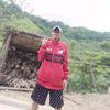 ok596683