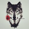timberwolve