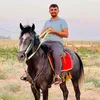 ammr_mahmood