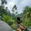 mayara2456