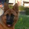 tiktokup013