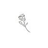 thirdjulyroses