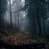 natalia_fedosova