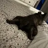 chelsxox29