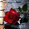 user2778425121606