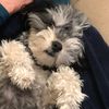 charliegirltahoe