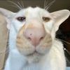 rustlover48