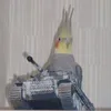 gi_das_galinaceas