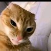 aayush_shrestha06