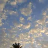 mona.abdullah742