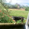 newuyt6