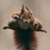sainkk69