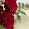 wendy_.79