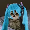 _yeetuscat