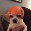 melanie_516