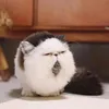 willfeedaftermidnight