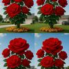 user84x7brsp48