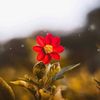 zubeyde_gny42