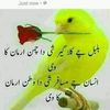 minatkhan04