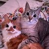 Tuna & Benji