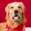 Golden Frederico