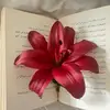 i9il8