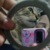 pamela.miau1