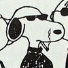 frogluvr17