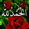 amal12345111