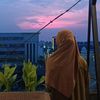 rox_nawa