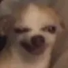 idkwimd_