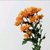 mei_craft_flower